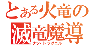 とある火竜の滅竜魔導師（ナツ・ドラグニル）