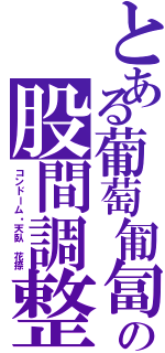 とある葡萄匍匐の股間調整Ⅱ（コンドーム・天臥　花捺）