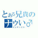 とある兄貴のナウい♂息子（インデックス）