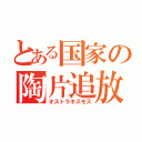 とある国家の陶片追放（オストラキスモス）