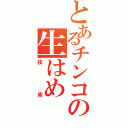 とあるチンコの生はめ（技術）