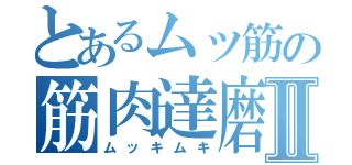 とあるムッ筋の筋肉達磨Ⅱ（ムッキムキ）