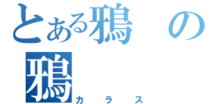 とある鴉の鴉（カラス）