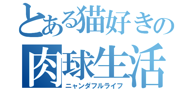 とある猫好きの肉球生活（ニャンダフルライフ）