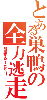 とある巣鴨の全力逃走（部屋変えてください！）