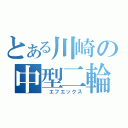 とある川崎の中型二輪（　エフエックス）