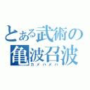 とある武術の亀波召波（カメハメハ）