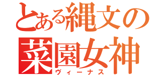 とある縄文の菜園女神（ヴィーナス）