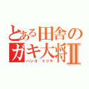 とある田舎のガキ大将Ⅱ（ハンコ ミツキ）