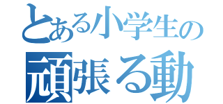 とある小学生の頑張る動画（）