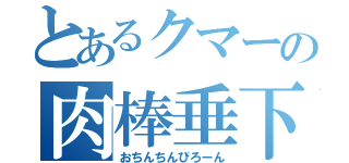 とあるクマーの肉棒垂下（おちんちんびろーん）