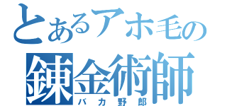 とあるアホ毛の錬金術師（バカ野郎）