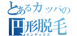 とあるカッパの円形脱毛症（インデックス）