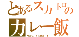 とあるス力卜口の力レー飯（ウェッ、くっせえ～！！）