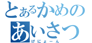 とあるかめのあいさつ（げにょーん）