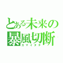 とある未来の暴風切断（カマイタチ）