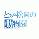 とある松岡の動物園（チンパンジー）