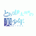 とある伊太利亜の美少年（ユークたん）