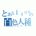 とある１４号室の白色人種（ホワイトヒューマン）