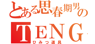 とある思春期男子のＴＥＮＧＡ（ひみつ道具）