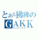 とある狒狒のＧＡＫＫＩ（インデックス）