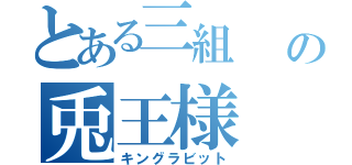 とある三組  の兎王様（キングラビット）