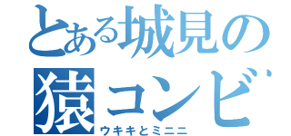 とある城見の猿コンビ（ウキキとミニニ）