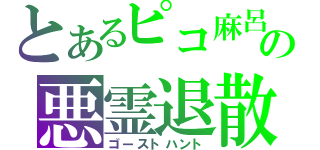 とあるピコ麻呂の悪霊退散（ゴーストハント）