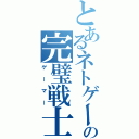 とあるネトゲーの完璧戦士（ゲーマー）