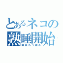 とあるネコの熟睡開始（俺はもう寝る）