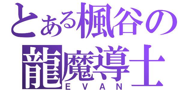 とある楓谷の龍魔導士（ＥＶＡＮ）