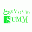 とあるＶＯＣＡＬＯＩＤのＳＵＭＭＥＲ（）