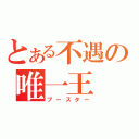 とある不遇の唯一王（ブースター）