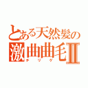 とある天然髪の激曲曲毛Ⅱ（チリゲ）