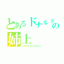 とあるドナルド好きの姉上（ドナルドダッグ＆リン）