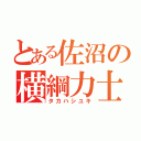 とある佐沼の横綱力士（タカハシユキ）