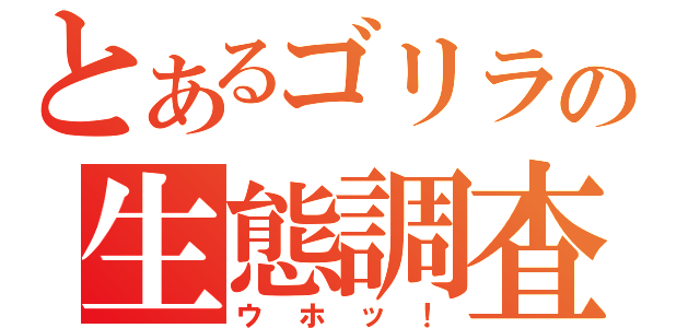 とあるゴリラの生態調査（ウホッ！）