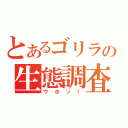 とあるゴリラの生態調査（ウホッ！）