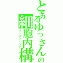 とあるゆっさんの細胞内構（ミトコンドリア）