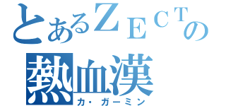 とあるＺＥＣＴの熱血漢（カ・ガーミン）