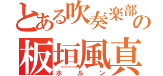 とある吹奏楽部の板垣風真（ホルン）