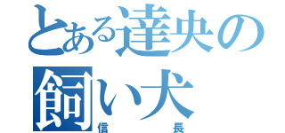 とある達央の飼い犬（信長）