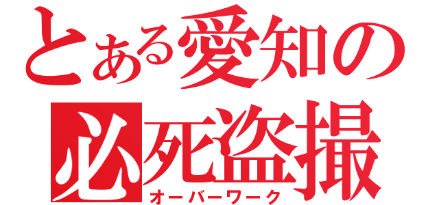 とある愛知の必死盗撮（オーバーワーク）