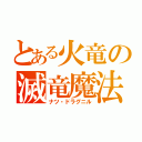 とある火竜の滅竜魔法（ナツ・ドラグニル）