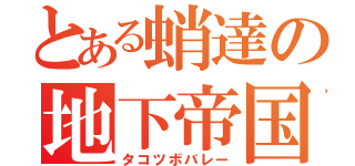 とある蛸達の地下帝国（タコツボバレー）