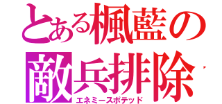 とある楓藍の敵兵排除（エネミースポテッド）