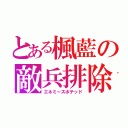 とある楓藍の敵兵排除（エネミースポテッド）