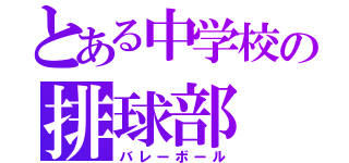 とある中学校の排球部（バレーボール）