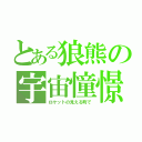 とある狼熊の宇宙憧憬（ロケットの見える町で）