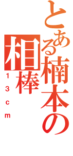 とある楠本の相棒（１３ｃｍ）